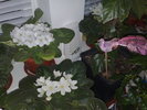 78