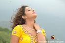 samiksha-hot13