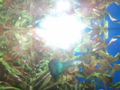 DSC01694