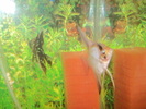 DSC01697