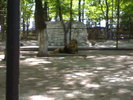 20042008699