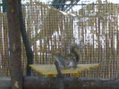 20042008700