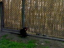 20042008654