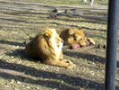 24022008354