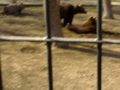 24022008364