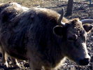 24022008365