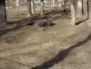 24022008373