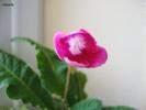 DSC01527