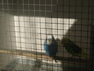 IMG_0018