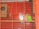 IMG_0019