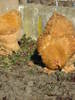 Picture 020