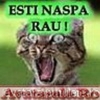 www_avatarele_ro__1243536087_909044