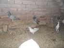 DSCN0656