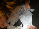 DSCN0659