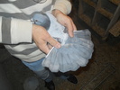 DSCN0662
