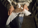 DSCN0663