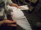 DSCN0664