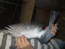 DSCN0667