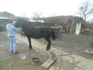 DSCN0805