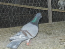 DSCN0810