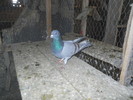 DSCN0812