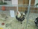 DSCN0495