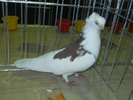 DSCN0573