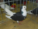 DSCN0574