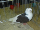 DSCN0576