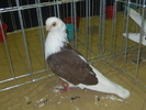 DSCN0577