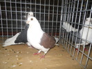 DSCN0598