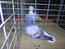 DSCN0605