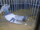DSCN0606