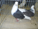 DSCN0612