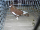 DSCN0614