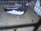 DSCN0615