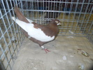 DSCN0616