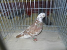 DSCN0620