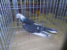 DSCN0621