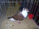 DSCN0622