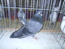 DSCN0624