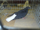 DSCN0626