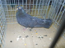 DSCN0676