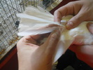 DSCN0685