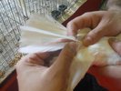 DSCN0686