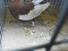 DSCN0695