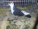DSCN0697