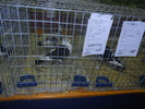 DSCN0699