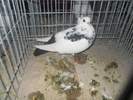 DSCN0847
