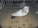 DSCN0849